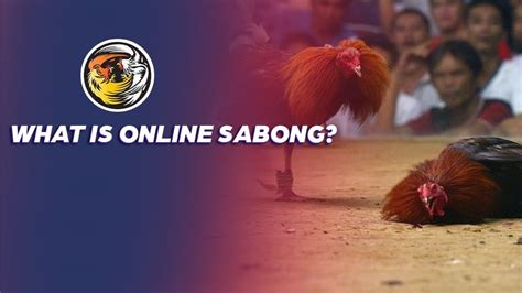 Top online casino guide: How to play online sabong.
